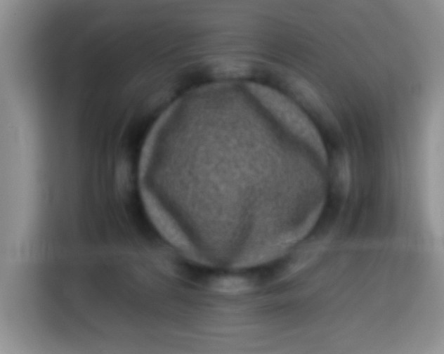 X0000113290224200910051107