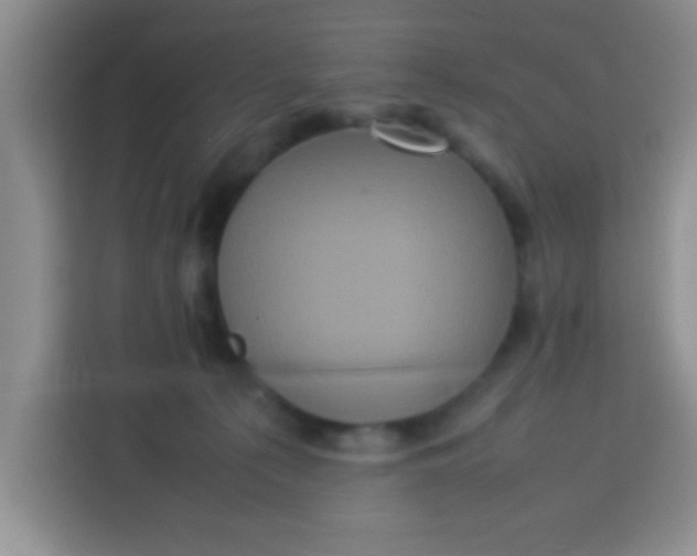 X0000113290225200910051107