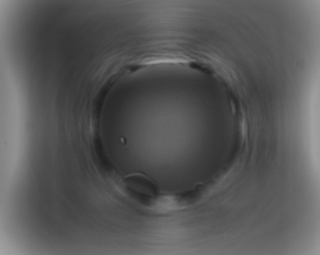 X0000113290227200910051107