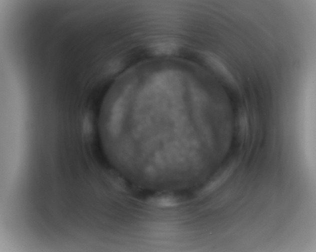 X0000113290228200910051107