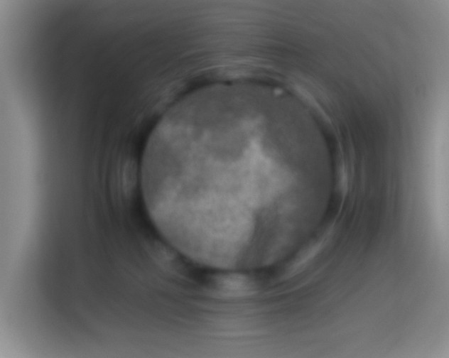 X0000113290230200910051107