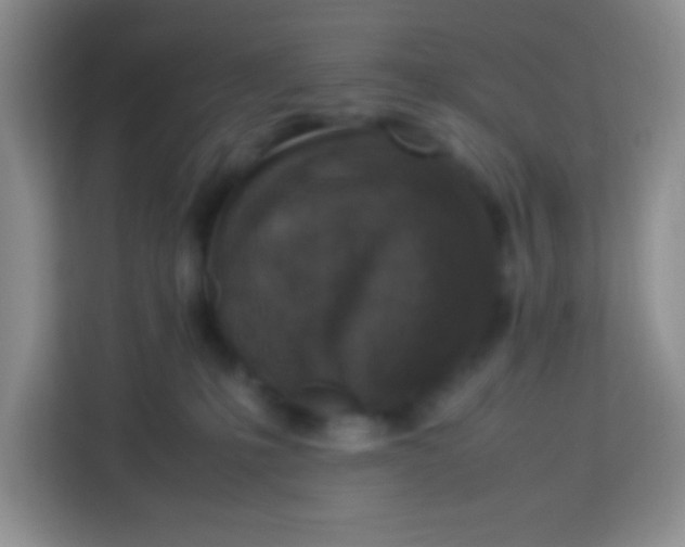 X0000113290231200910051107