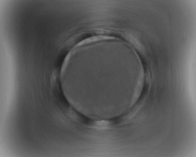 X0000113290233200910051107