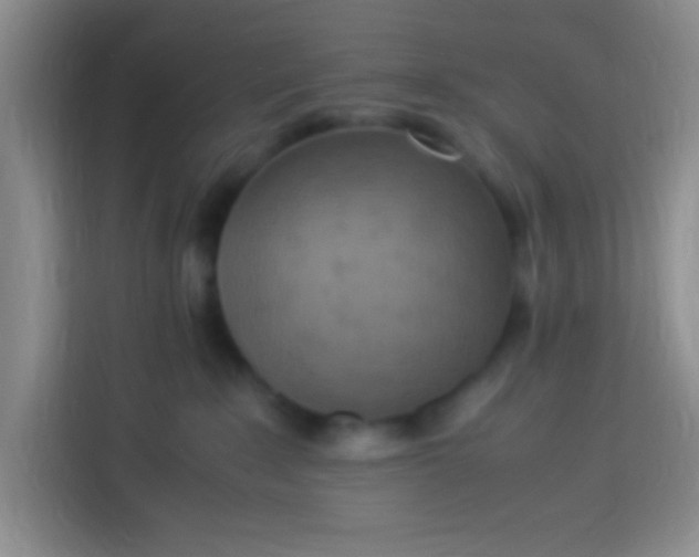 X0000113290235200910051107