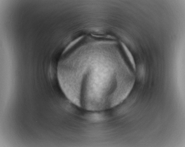 X0000113290236200910051107