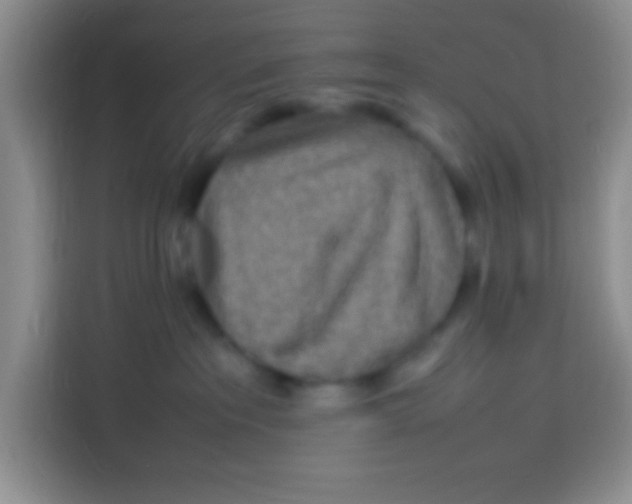 X0000113290237200910051107