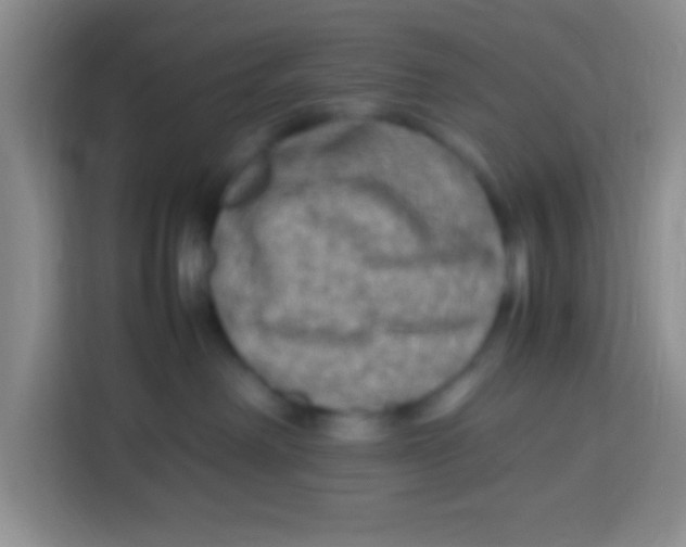 X0000113290238200910051107