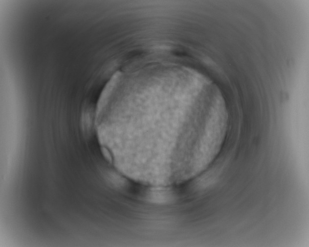 X0000113290240200910051107