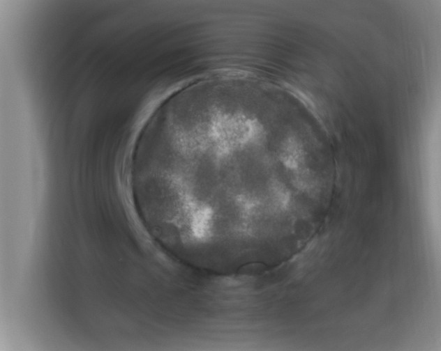 X0000113290241200910051106