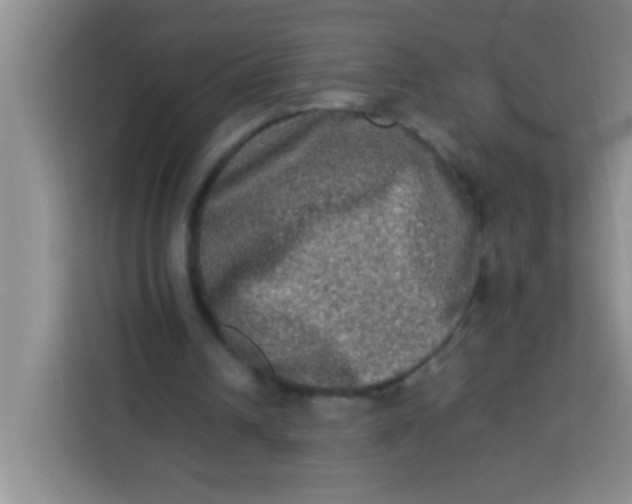 X0000113290242200910051106