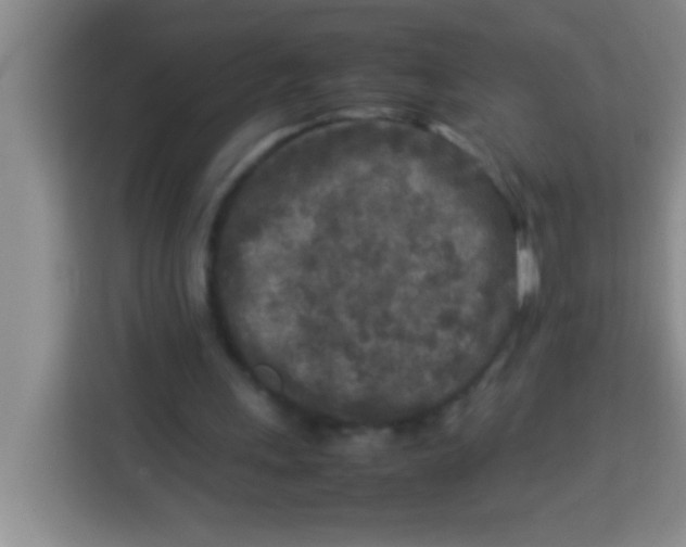 X0000113290243200910051106