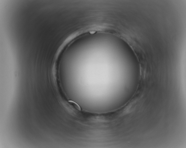 X0000113290244200910051106
