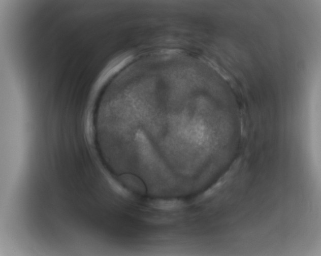X0000113290245200910051106