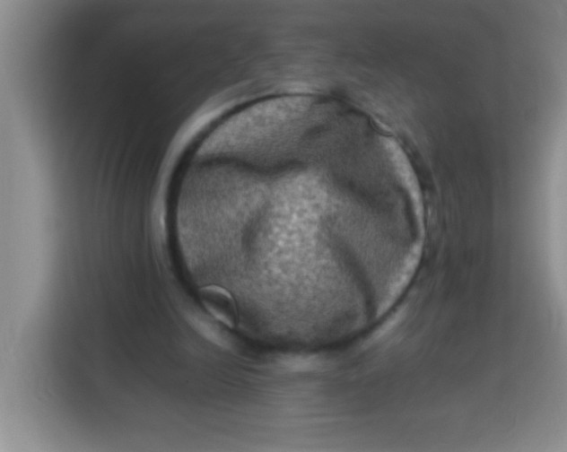 X0000113290246200910051106