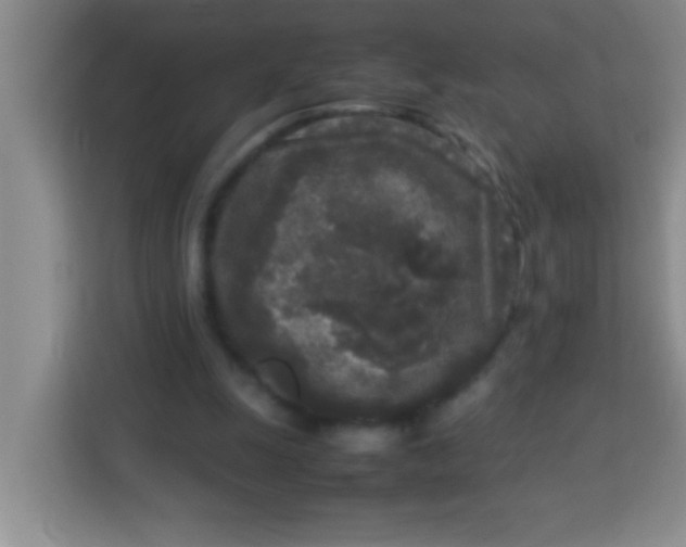 X0000113290247200910051106