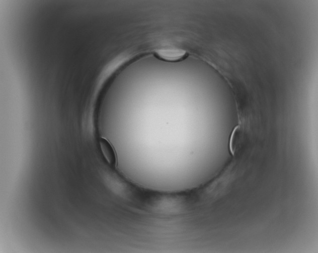 X0000113290248200910051106