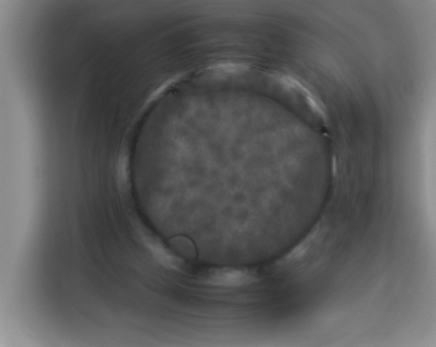 X0000113290249200910051106
