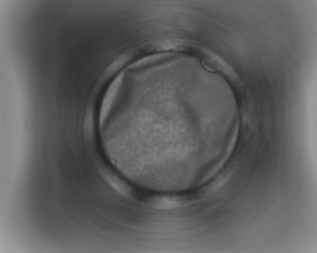 X0000113290250200910051106
