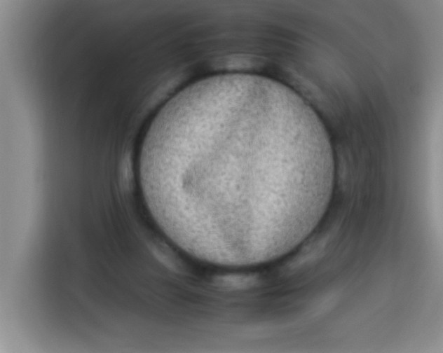X0000113290251200910051106