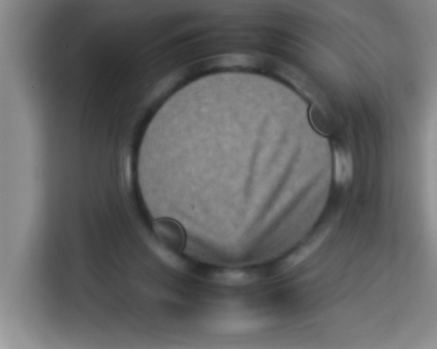 X0000113290253200910051106