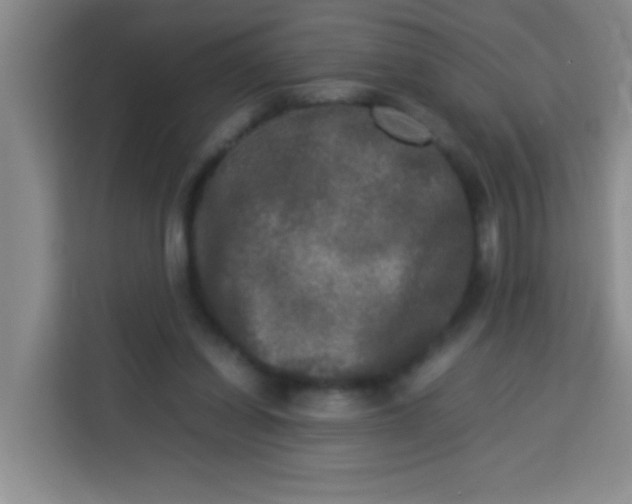 X0000113290254200910051106