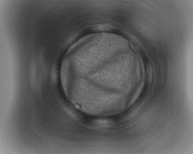 X0000113290255200910051106