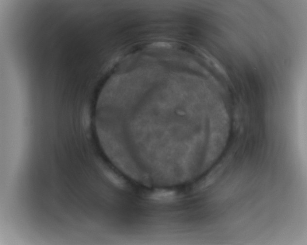 X0000113290257200910051106