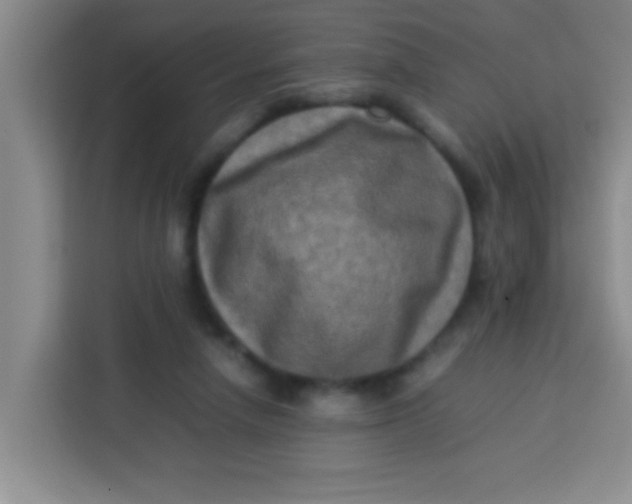 X0000113290258200910051106