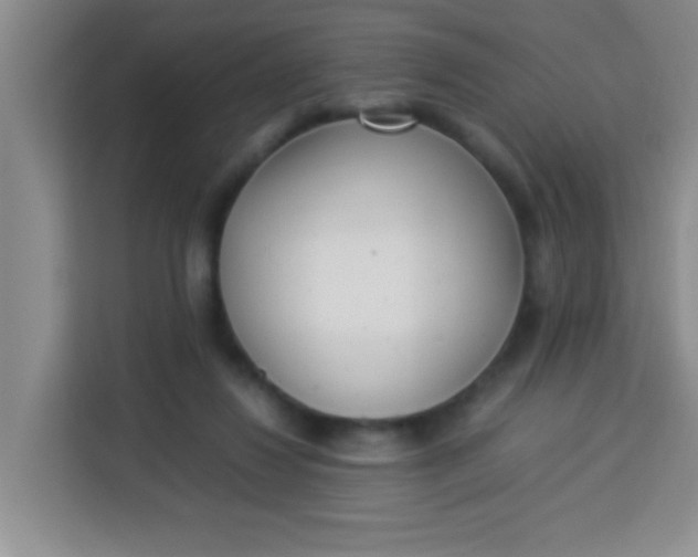 X0000113290260200910051106