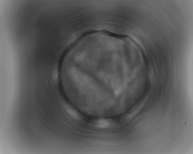X0000113290261200910051106