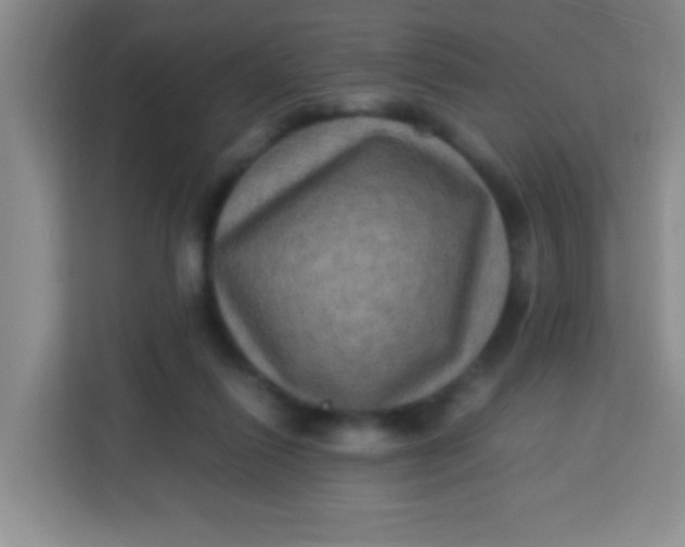 X0000113290262200910051106