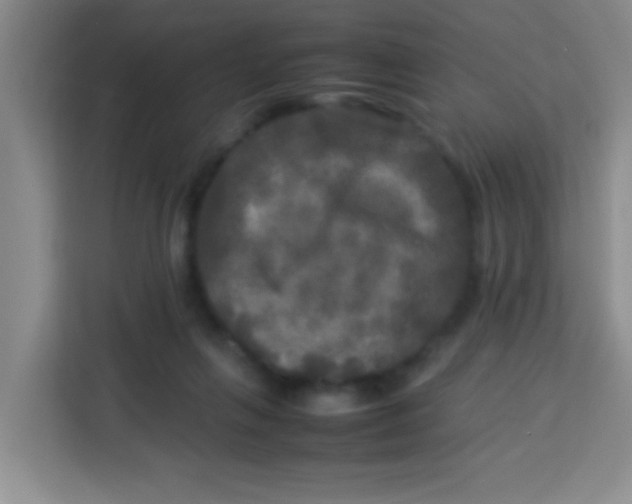X0000113290263200910051106
