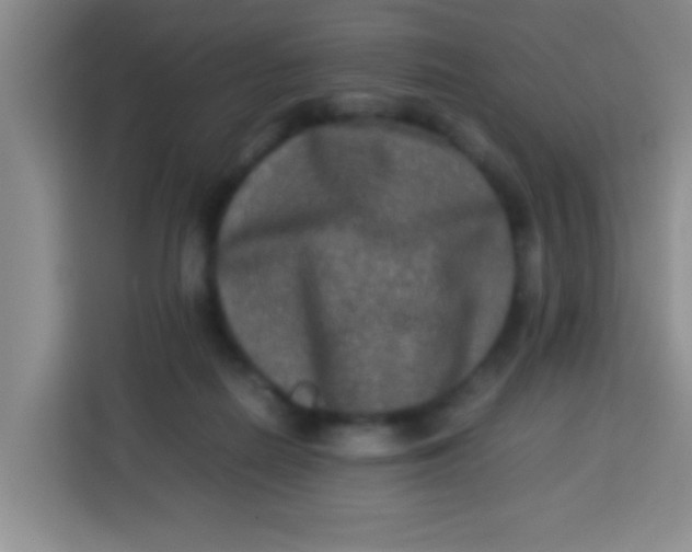 X0000113290266200910051106