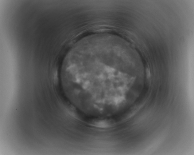 X0000113290267200910051106