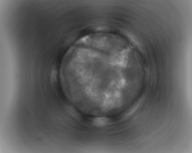 X0000113290269200910051107