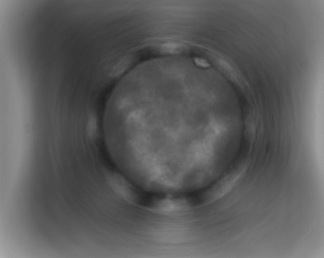 X0000113290270200910051107