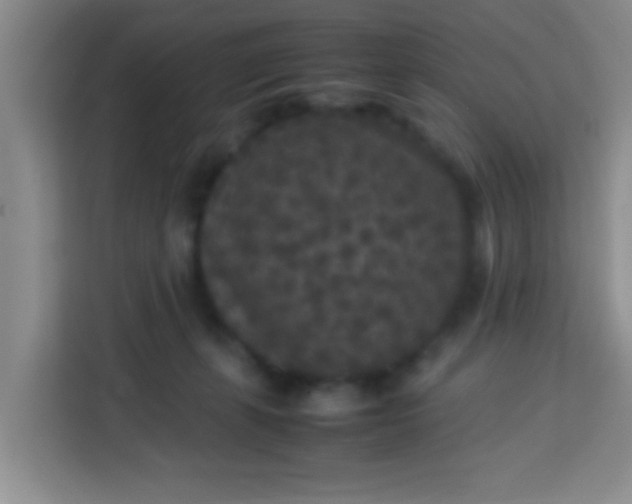 X0000113290271200910051107
