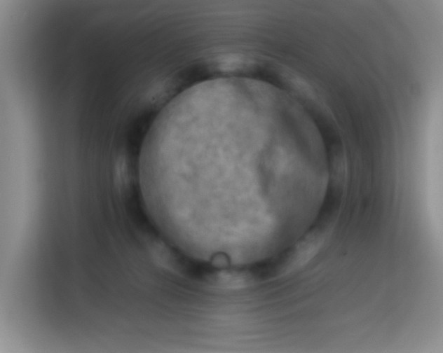 X0000113290272200910051107