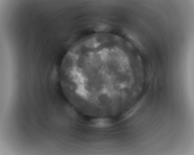 X0000113290273200910051107