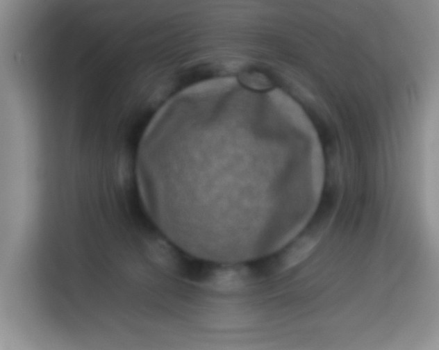 X0000113290274200910051107