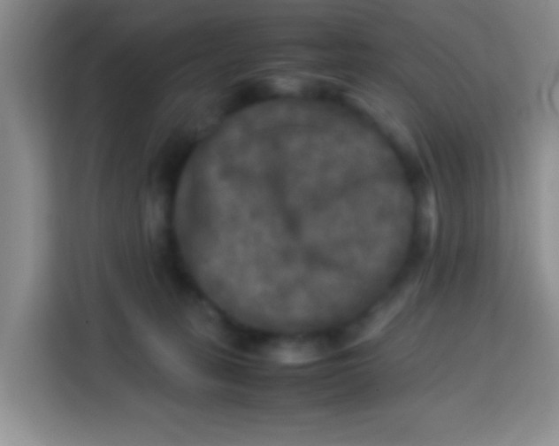 X0000113290275200910051107