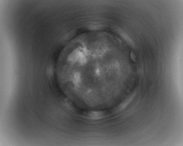 X0000113290277200910051107