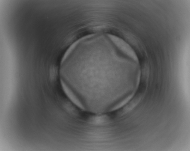 X0000113290278200910051107