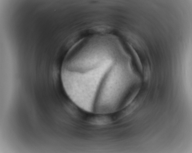 X0000113290279200910051107