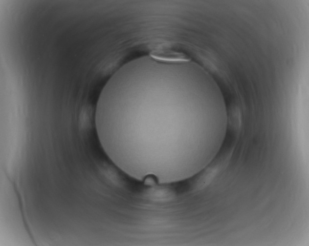 X0000113290280200910051107