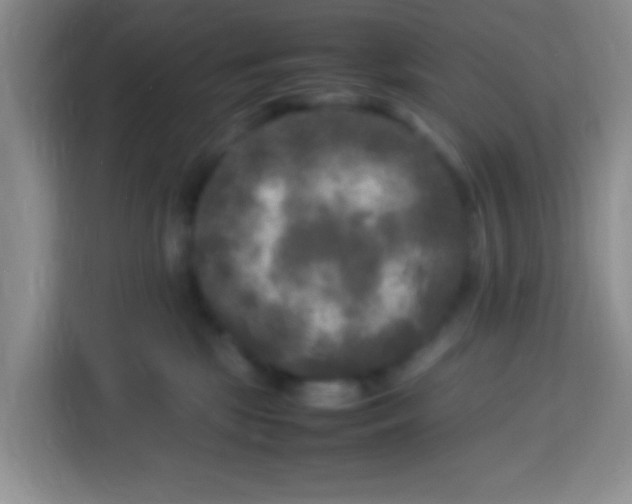 X0000113290281200910051107
