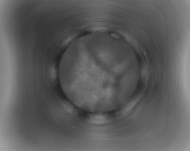 X0000113290282200910051107
