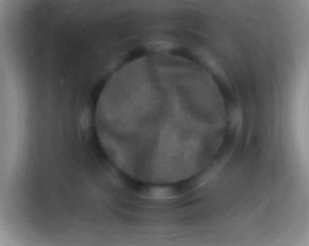X0000113290283200910051107