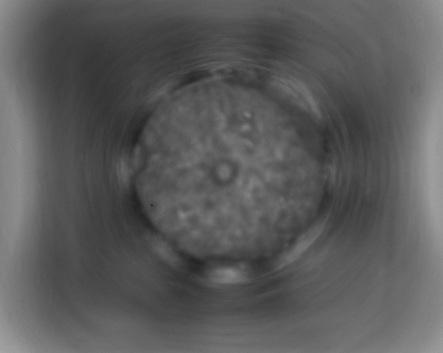 X0000113290285200910051107