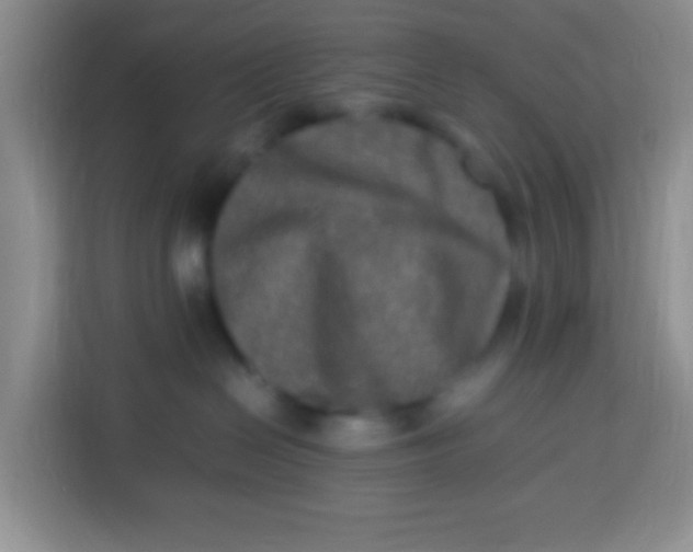 X0000113290286200910051107